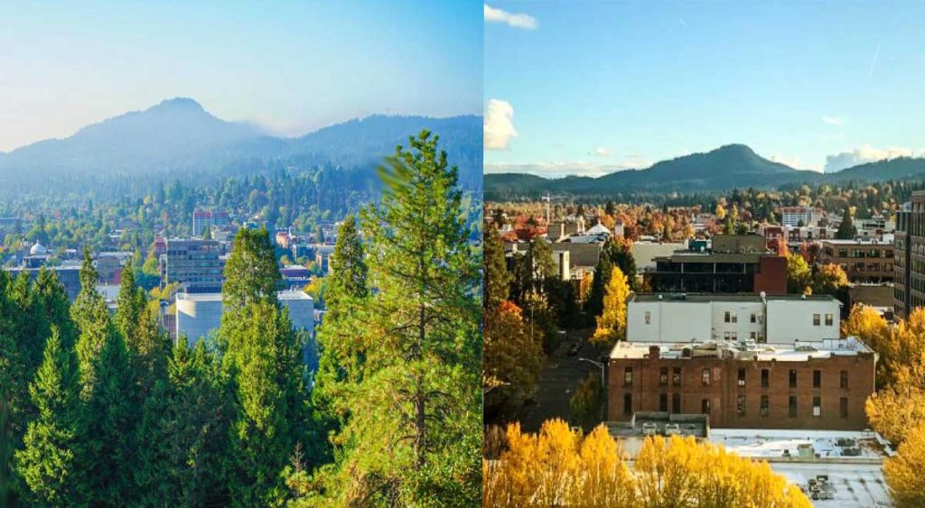 Portland to Eugene/Springfield