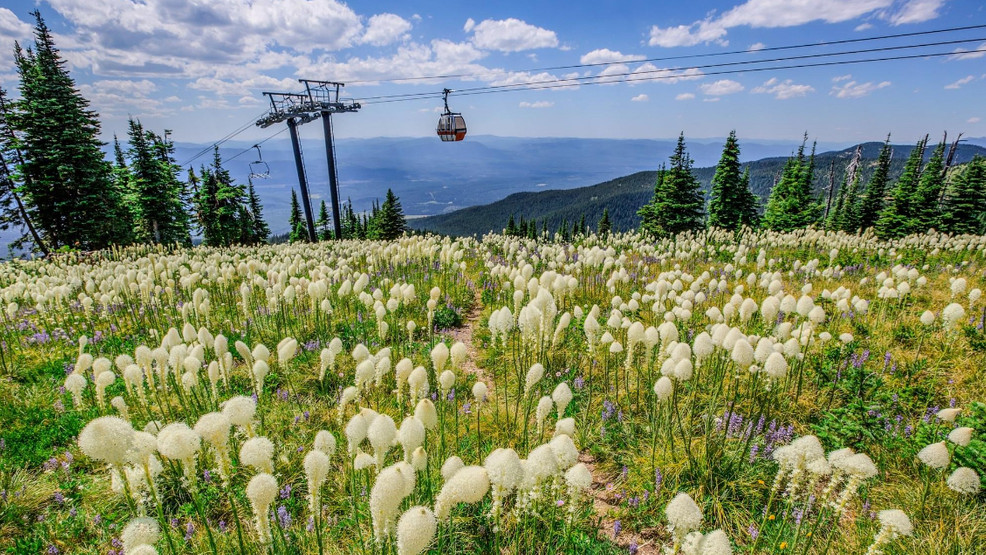 The Pacific Northwest Peaks: Whitefish, Montana